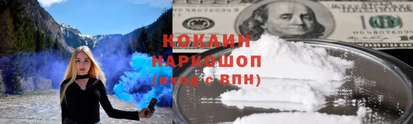 хмурый Алексин