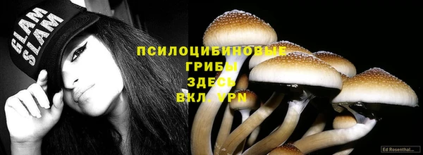 гидра Абаза