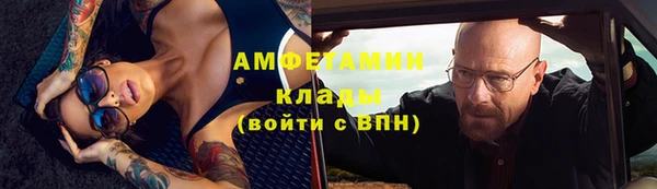 гидра Абаза