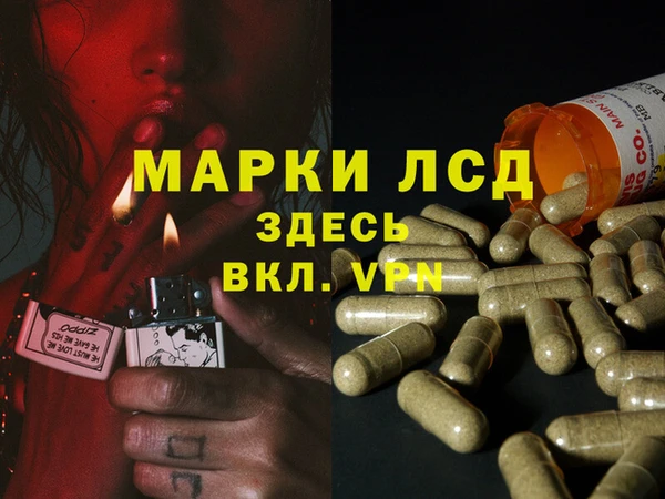 apvp Алзамай