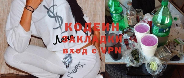 гидра Абаза
