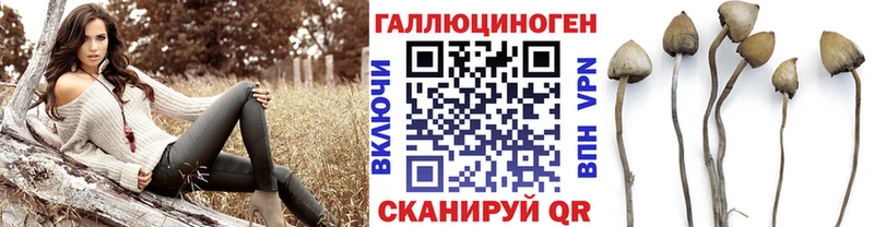 купить наркотики сайты  Воронеж  Псилоцибиновые грибы Psilocybine cubensis 